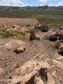 000 Jack Rabbit Trail - Photo 5