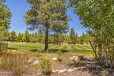 1483 Castle Hills Drive - Photo 9