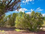 29 Co Rd 3199 - Photo 7