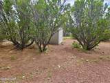 29 Co Rd 3199 - Photo 8