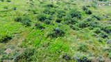 36.94 Acre Latimer Road - Photo 14