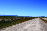 36.94 Acre Latimer Road - Photo 18