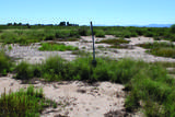36.94 Acre Latimer Road - Photo 20