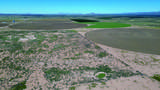 36.94 Acre Latimer Road - Photo 6