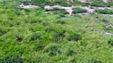 17.64 Acre Latimer Road - Photo 15