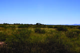 17.64 Acre Latimer Road - Photo 19