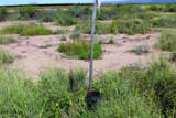 17.64 Acre Latimer Road - Photo 22