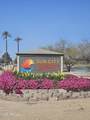 13540 Pavillion Drive - Photo 66