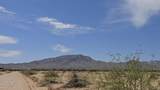 495XX 527th Drive - Photo 10