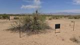 495XX 527th Drive - Photo 11
