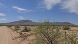 495XX 527th Drive - Photo 12