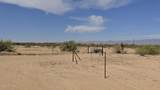 495XX 527th Drive - Photo 18
