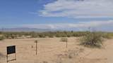 495XX 527th Drive - Photo 23