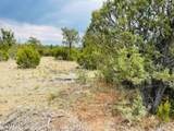 8418 Haven Crest Drive - Photo 11