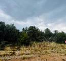 8418 Haven Crest Drive - Photo 16