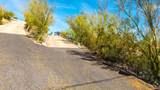 1402 Las Palmaritas Drive - Photo 62