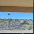 65 Cottonwood Lane - Photo 42