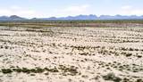 0 0 - Photo 10