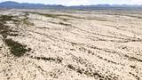 0 0 - Photo 24