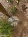 0 Music Trail - Photo 25
