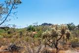 4782 Pura Vida Way - Photo 15