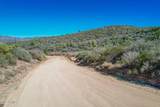 XXX Ruger Ranch Road - Photo 12