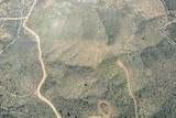 XXX Ruger Ranch Road - Photo 5