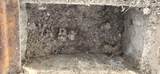 5382 82ND Avenue - Photo 11