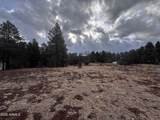 21230027B W White Mountain Blvd - Photo 10