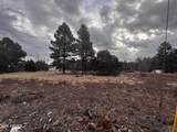 21230027B W White Mountain Blvd - Photo 4