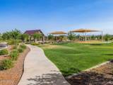 33070 Noir Drive - Photo 44