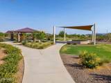 33070 Noir Drive - Photo 45