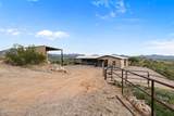 13803 White Face Canyon Drive - Photo 99