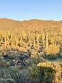 41811 72ND -- Street - Photo 29