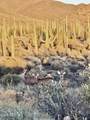 41811 72ND -- Street - Photo 30