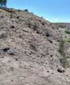 4530 Tanque Verde Drive - Photo 14