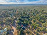 2214 Mountain Lion Lane - Photo 80