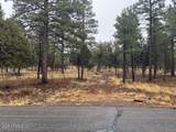 2625 Roundup Lane - Photo 1