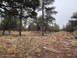 2625 Roundup Lane - Photo 4