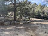 23487 Manzanita Road - Photo 44