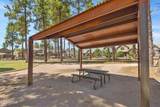 2477 Mission Timber Circle - Photo 66