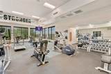 4292 Carob Drive - Photo 50