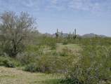 0 Peoria Avenue - Photo 10