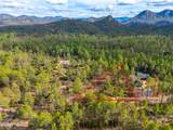 3109 Game Trail - Photo 12