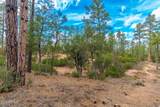 3109 Game Trail - Photo 7