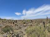 14252 Zorra Way - Photo 4