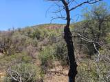 4XX El Capitan Drive - Photo 13