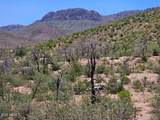 4XX El Capitan Drive - Photo 3