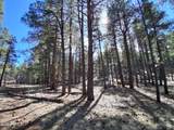 13696 Kings Deer Road - Photo 10