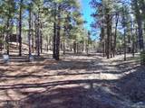 13696 Kings Deer Road - Photo 11
